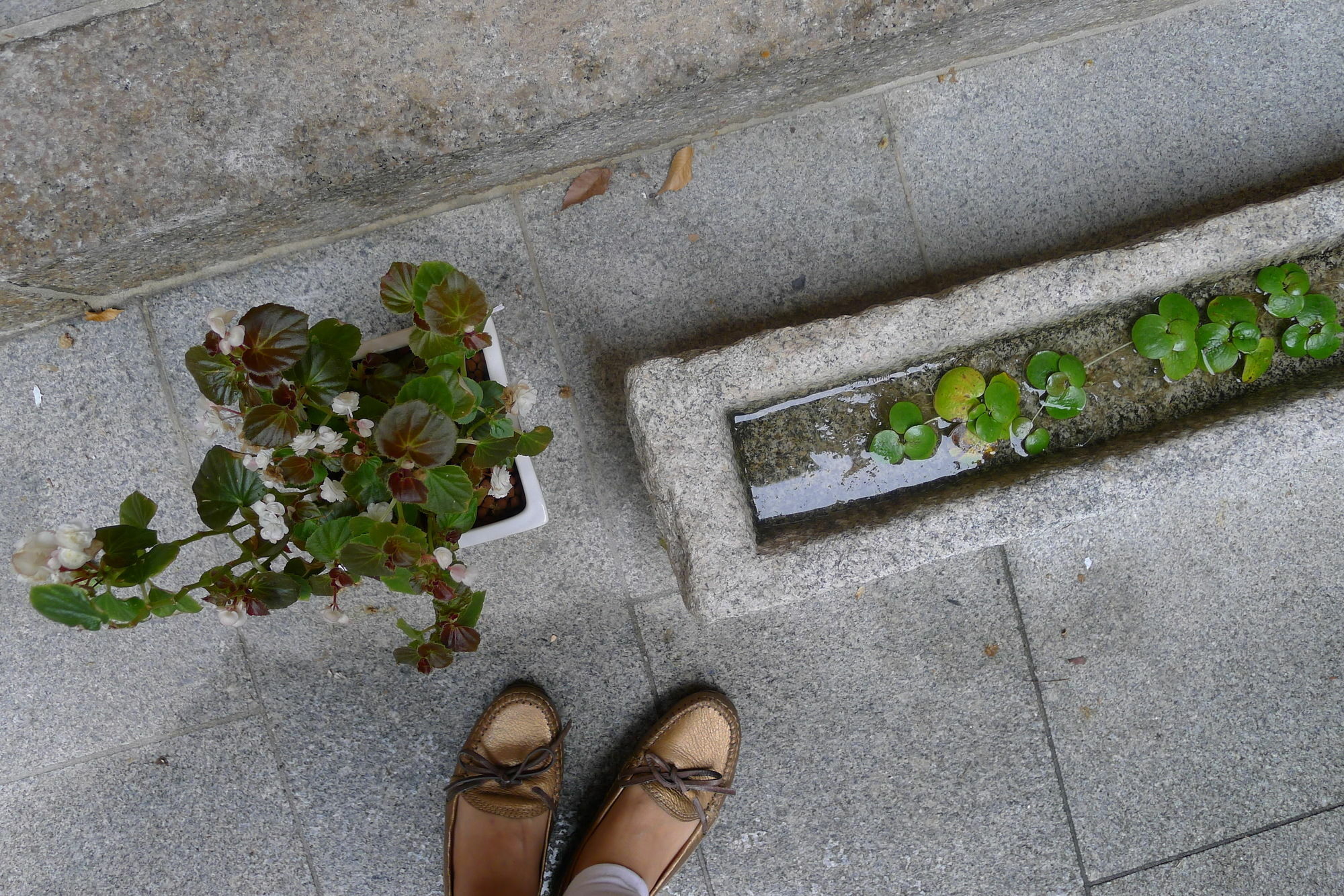 Xiwoo Hanok Guest house 2*